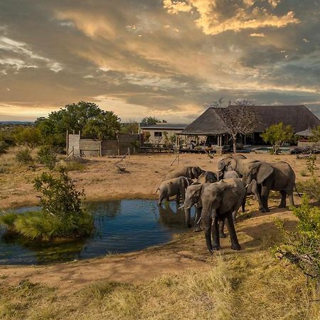 Imagine Africa Luxury Tented Camp Reserva de Caça de Balule Exterior foto