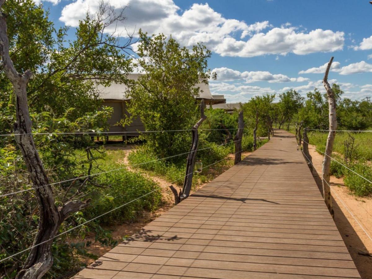 Imagine Africa Luxury Tented Camp Reserva de Caça de Balule Exterior foto