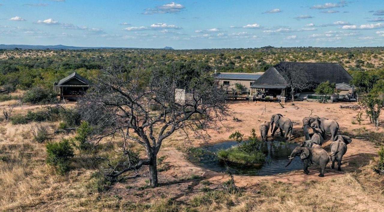 Imagine Africa Luxury Tented Camp Reserva de Caça de Balule Exterior foto