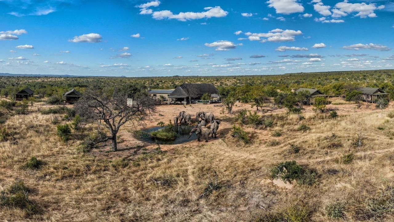 Imagine Africa Luxury Tented Camp Reserva de Caça de Balule Exterior foto